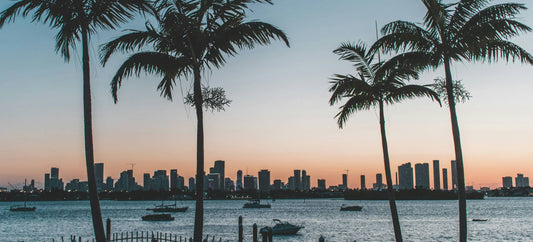 The Clean Wellness Guide to Miami